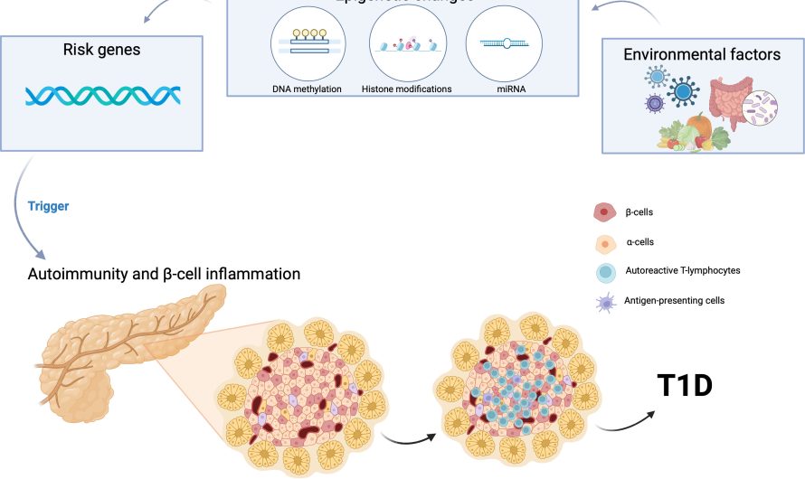 How Do Genetics And Epigenetics Converge In Diabetes Etiology?